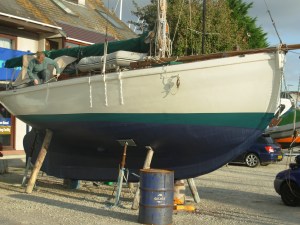 Biddy's underwater shape