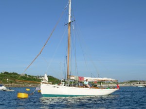 Biddy on the Isles of Scilly