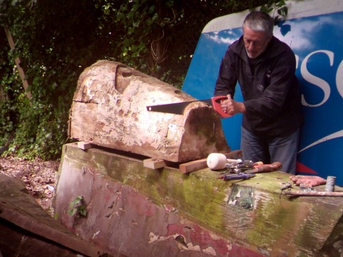 WINGSCAPES TIMELAPSE PLANTCAM