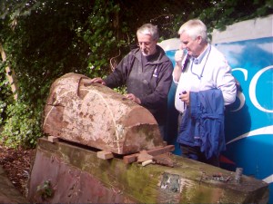 WINGSCAPES TIMELAPSE PLANTCAM