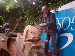 WINGSCAPES TIMELAPSE PLANTCAM