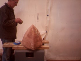 WINGSCAPES TIMELAPSE PLANTCAM