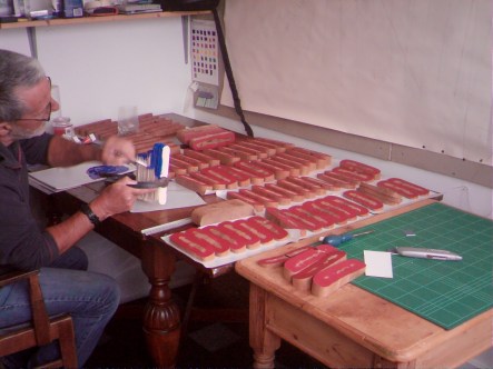 WINGSCAPES TIMELAPSE PLANTCAM