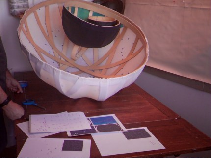 WINGSCAPES TIMELAPSE PLANTCAM